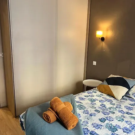 Bel Spacieux Avec Joli Balcon Arbore, Calme, Bien Situe, Centre Nice
